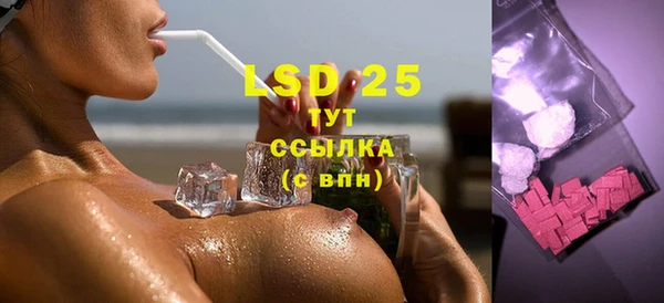 крисы Елабуга
