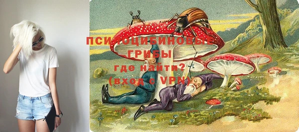 крисы Елабуга