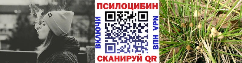 Купить закладки  Фролово  Псилоцибиновые грибы мухоморы 